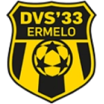 DVS 33 Ermelo logo
