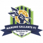 Marumo Gallants U23 logo