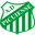 AD Picuiense logo