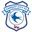 Cardiff City Academy no Friendship