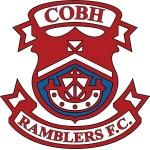 Cobh Ramblers en First Division