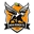 Nova Iguaçu Academy logo
