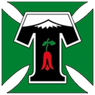 Deportes Temuco - Copa Chile