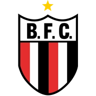 Where to Watch Botafogo SP in Brazil