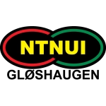 NTNUI en 3. Division - Girone 2