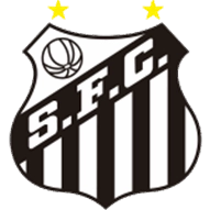 Santos Feminino logo