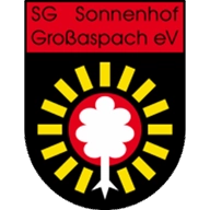 Where to Watch Sonnenhof Grossaspach in Brazil
