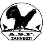 Olimpic Zărneşti logo