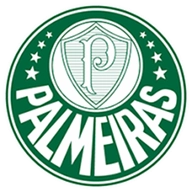 Where to Watch Palmeiras in Brazil