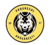 Progresul Draganesti logo