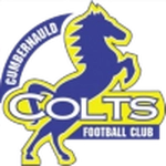 Cumbernauld Colts logo