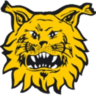 Ilves en Kansallinen Liiga