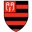 AA Flamengo Feminino logo