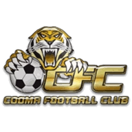 Tigers FC logo