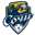FC Sochi in FIFA Series