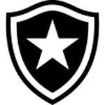 Botafogo U20 in Brasileirão Sub-20