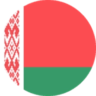 Where to Watch Belarus in Brazil