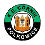 Górnik Polkowice logo