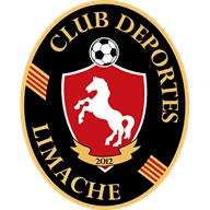 Deportes Limache - Copa Chile