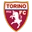 Torino Academy - Serie B Italiana