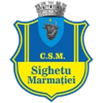 Sighetu Marmaţiei logo