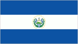 El Salvador W logo