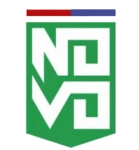 Novo Esporte Clube logo