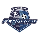 Pinzgau Saalfelden logo