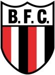 Botafogo SP B logo