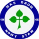 Grom Nowy Staw logo