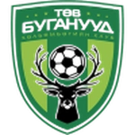 Central Stallions logo