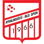 Ayvalikgucu en 3. Lig - Group 2