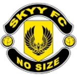 Skyy logo