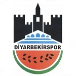 Diyarbekirspor en 3. Lig - Group 3