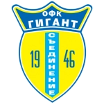Gigant Saedinenie logo