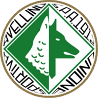Avellino logo
