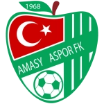 Amasyaspor 1968 en 3. Lig - Group 1