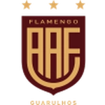 AA Flamengo Academy
