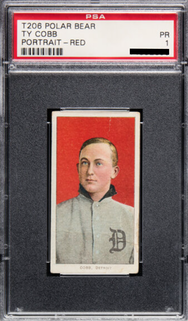 Ty Cobb [Polar Bear Portrait - Red]