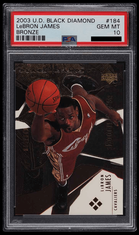 LeBron James [Bronze /100]