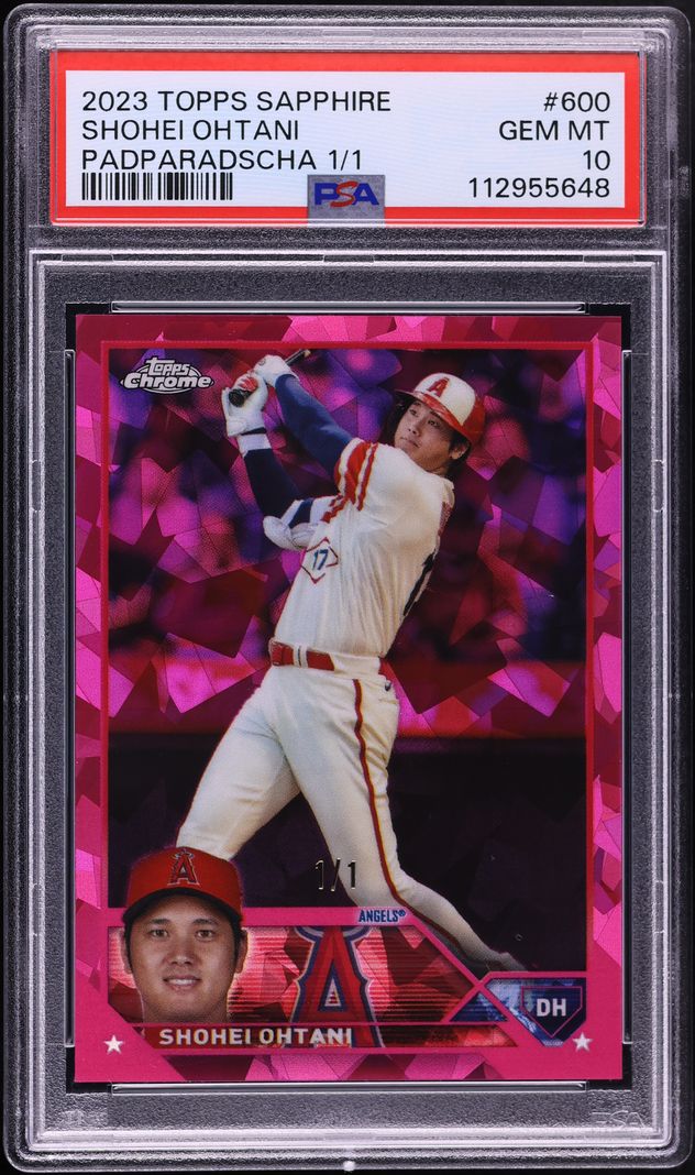 Fanatics Collect