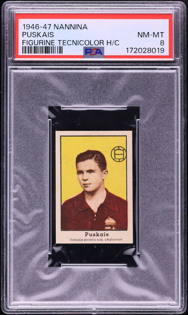 Fanatics Collect