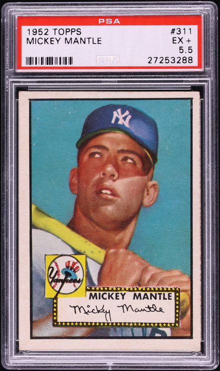 Fanatics Collect