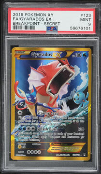 Fanatics Collect