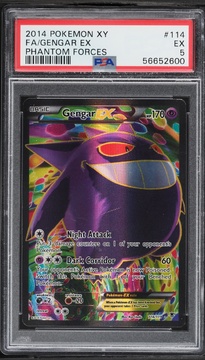 Fanatics Collect