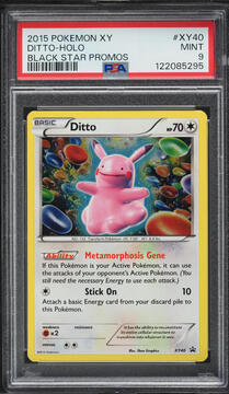 Fanatics Collect