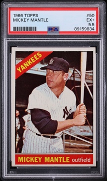 Fanatics Collect