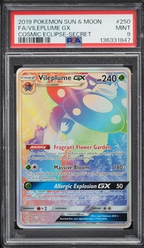 Fanatics Collect