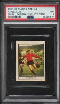 Fanatics Collect