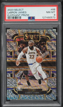 Fanatics Collect